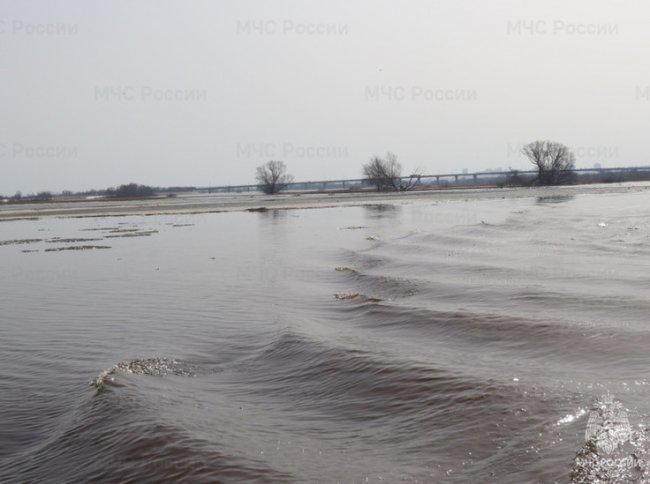 МЧС: За сутки уровень воды в Оке в Рязани повысился на 20 сантиметров