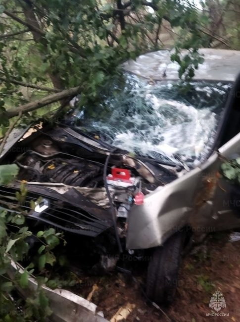 В Калужской области Renault смяло по пути в кювет