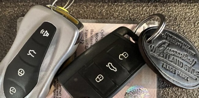 Не близнецы, но двойняшки - «Компьютеры и интернет»