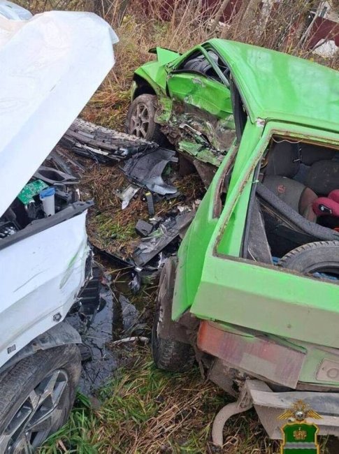 В ДТП в Жуковском районе погибла водитель и пострадали трое детей