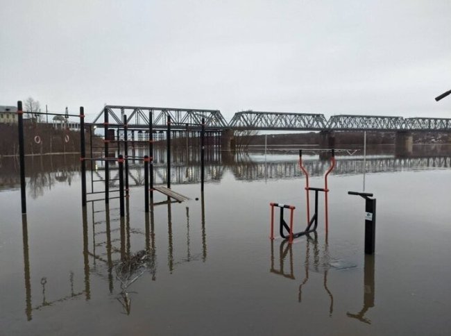 Жителей Серпухова предупредили о возможном подтоплении 20 населенных пунктов