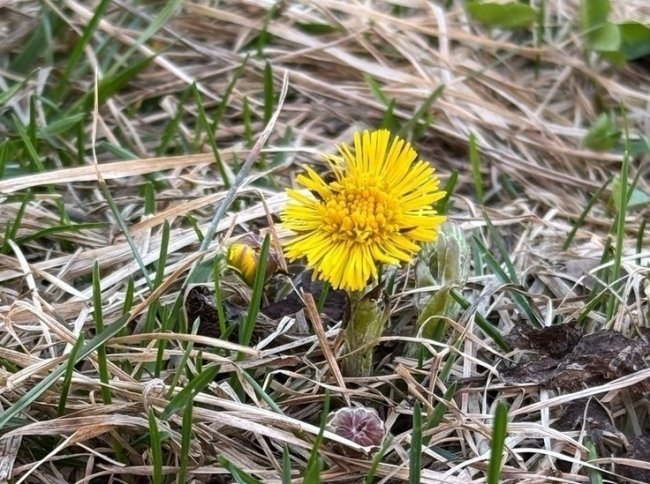 Погода во Владимирской области резко изменится