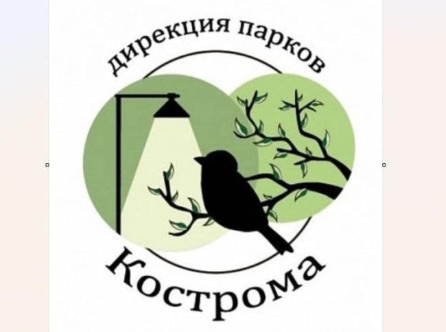 Чем порадуют костромичей городские парки во вторник 11 августа